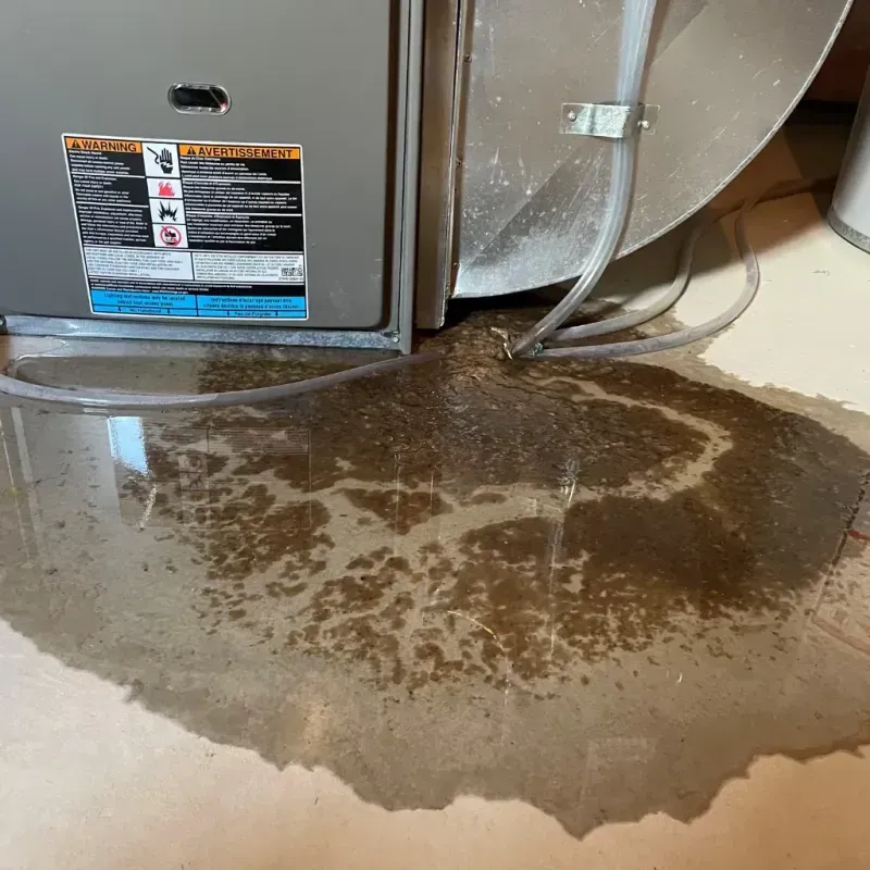 Appliance Leak Cleanup in Lake Junaluska, NC